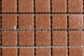 MAUC 50 apricot 20x20x4mm